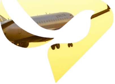 Aviation Services